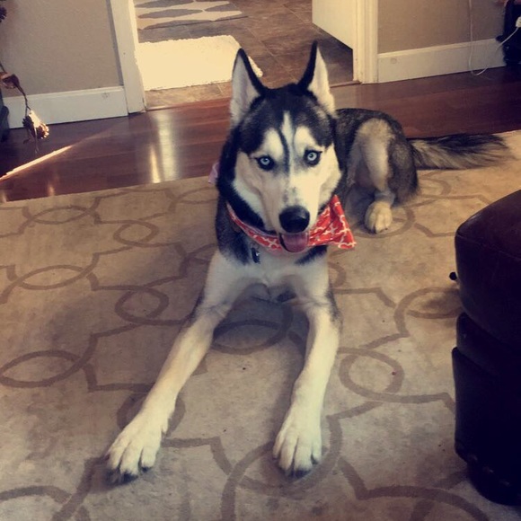 Meet your Posher, Kelly - Picture 1 of 1